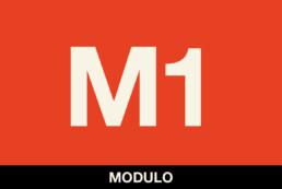 M1 ISM10