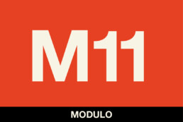 M11 ISM10