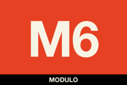 M6 ISM10
